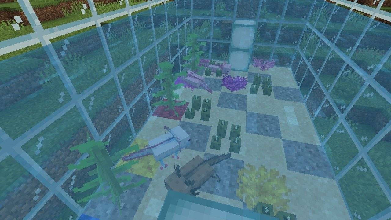 Axolotl Tank — screenshot 3