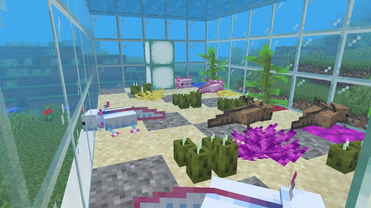 Axolotl Tank — screenshot 5