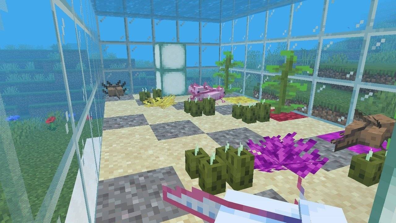 Axolotl Tank — screenshot 6