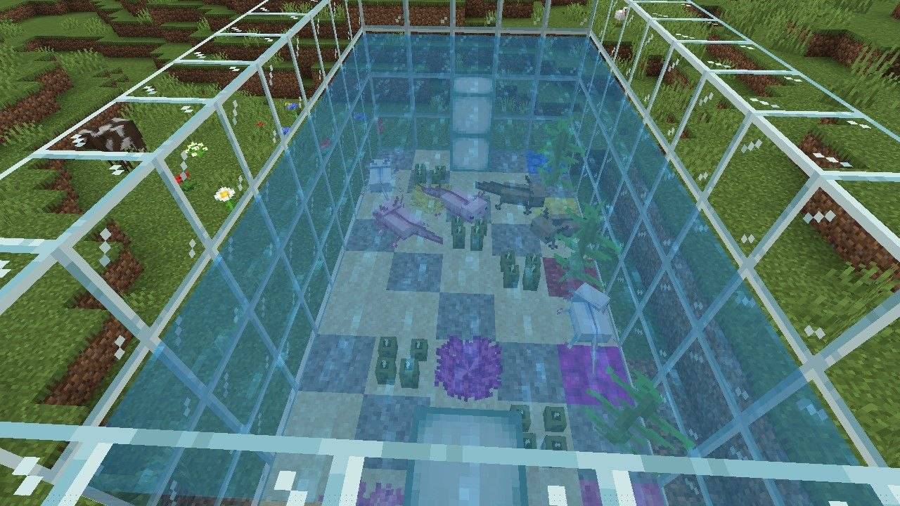 Axolotl Tank — screenshot 7