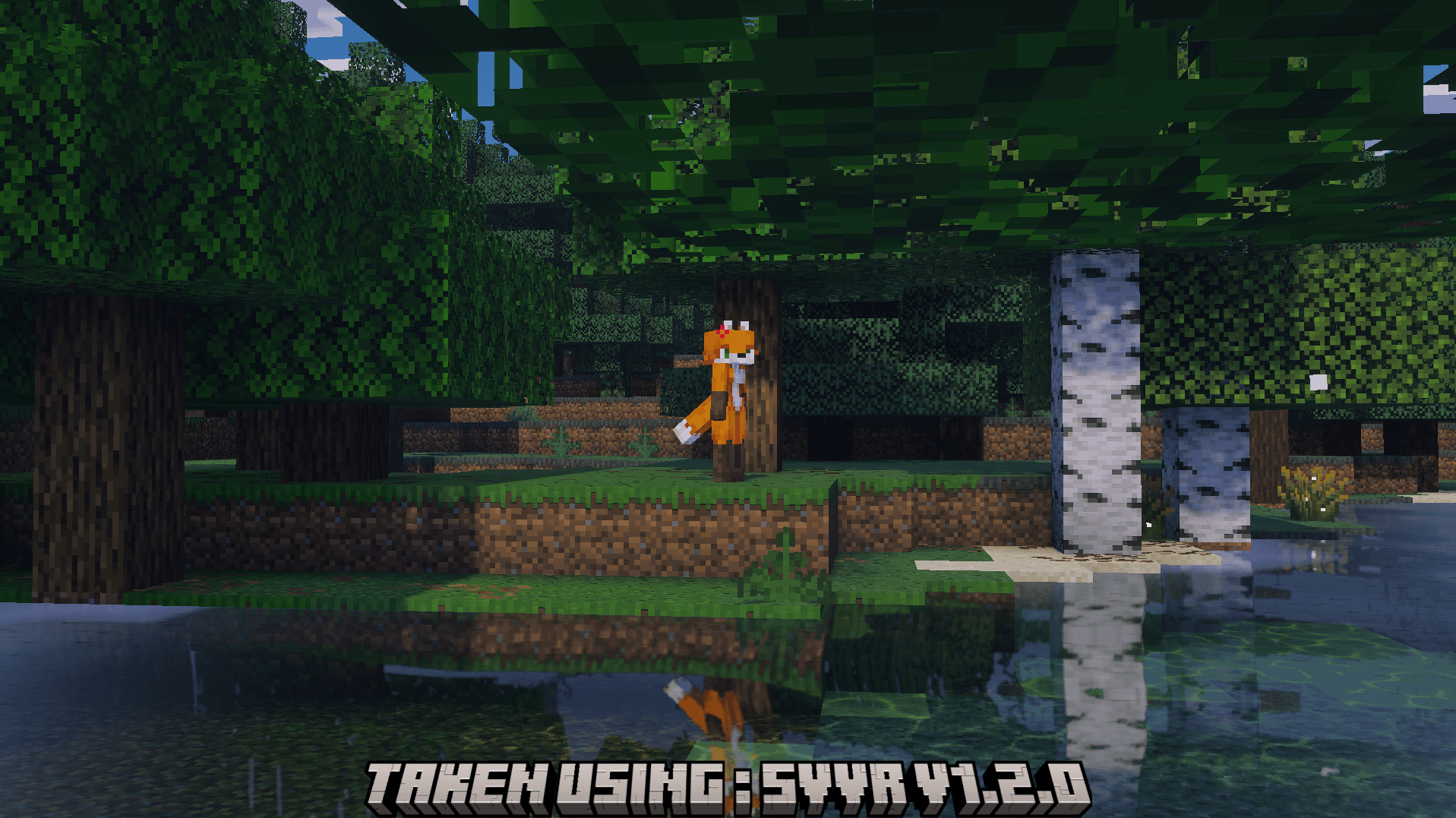Fox Player v1.3.1 — screenshot 2