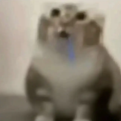 Cat meme totem