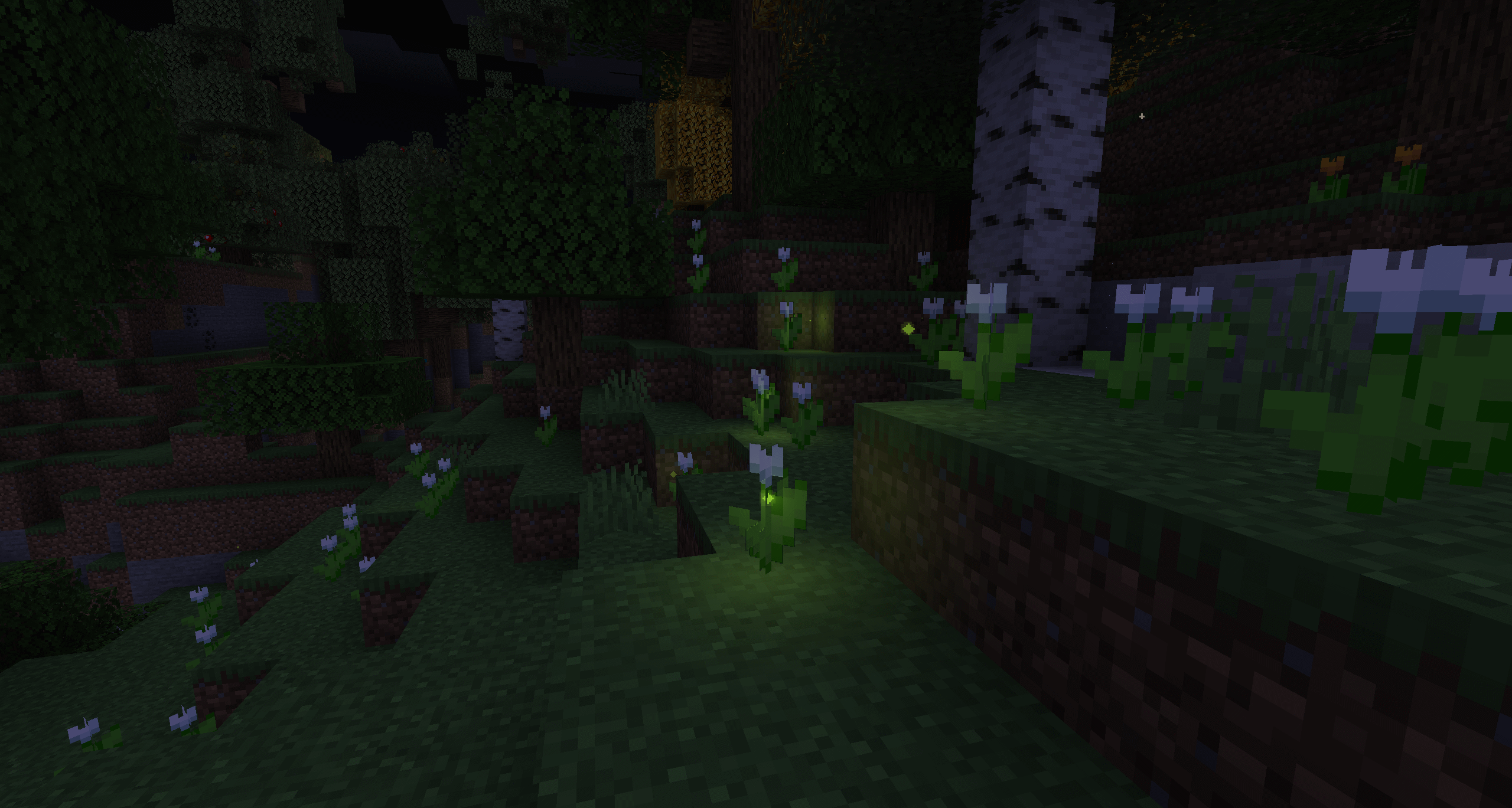 Dynamic Surroundings — screenshot 5