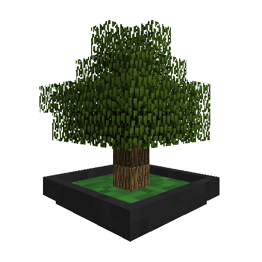 Bonsai Trees 4
