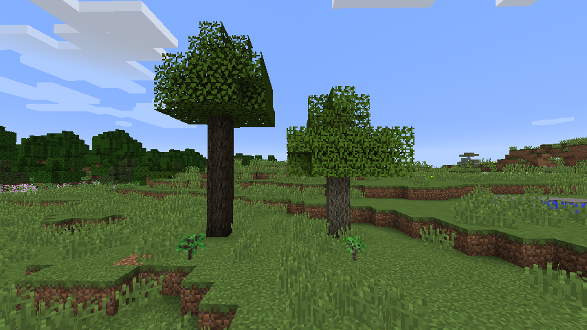Rustic — screenshot 6
