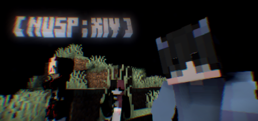 NUSP : XIV