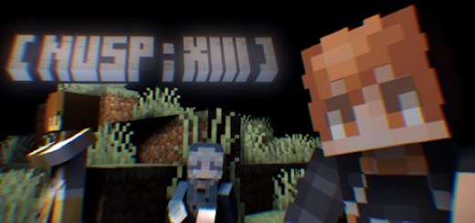 NUSP : XIII