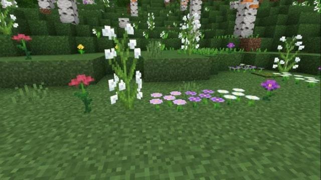 Archeology Addon Birch and Fireflies — screenshot 7