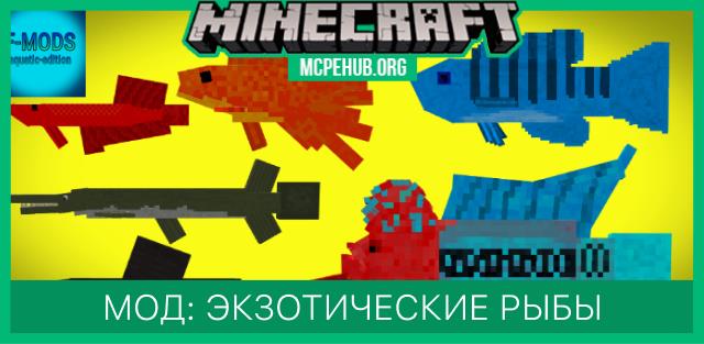 Fish Catchers — screenshot 8