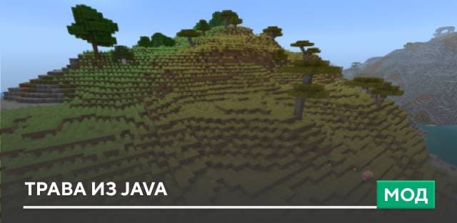 Java Grass — screenshot 1