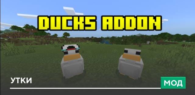 Duck — screenshot 1