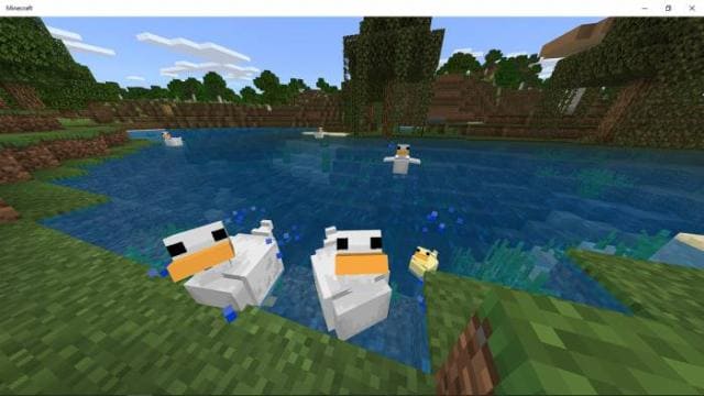 Duck — screenshot 2