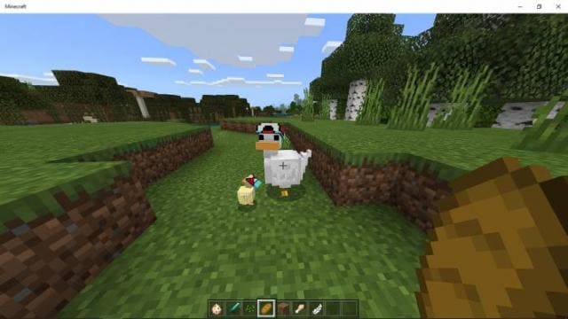 Duck — screenshot 3