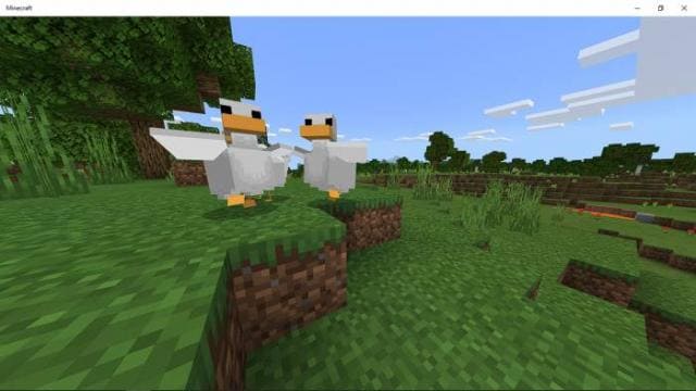 Duck — screenshot 5
