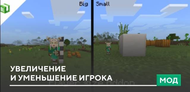 Player Size — screenshot 1