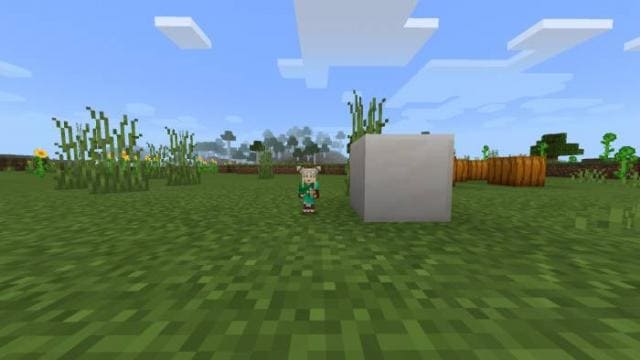 Player Size — screenshot 2