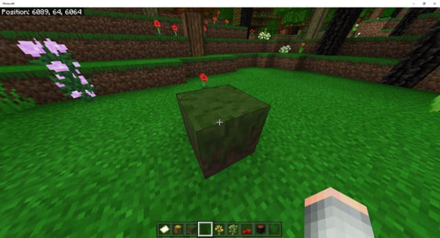 Survival Reborn — screenshot 5
