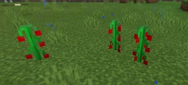 Sugar Craft — screenshot 2