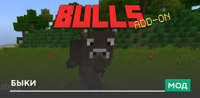 Bulls — screenshot 1