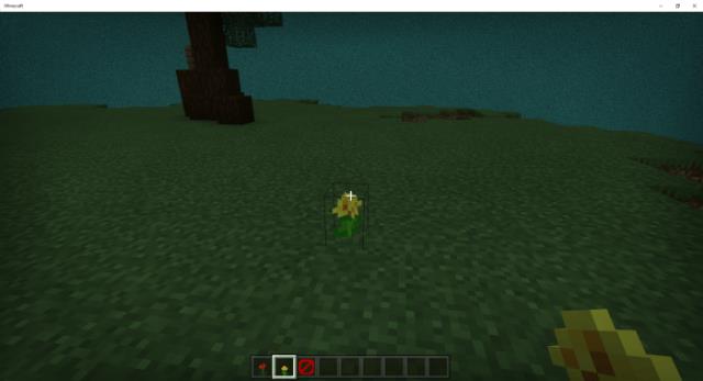 Dimensions — screenshot 5