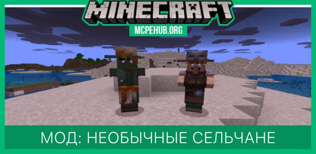Derpy Villagers and Zombie Villagers — screenshot 1