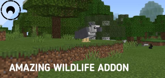 Amazing Wildlife — screenshot 2