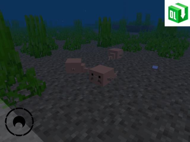 Amazing Wildlife — screenshot 3