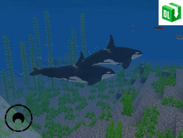 Amazing Wildlife — screenshot 4