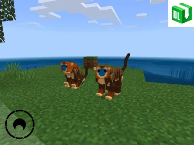 Amazing Wildlife — screenshot 7