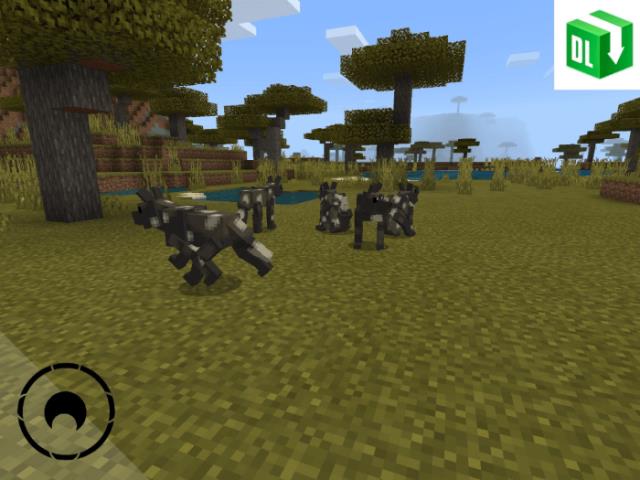 Amazing Wildlife — screenshot 8