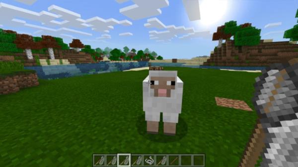 ANIMAL CAPTURE — screenshot 3