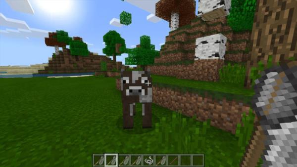 ANIMAL CAPTURE — screenshot 4