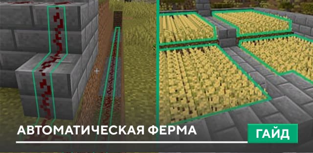 ANIMAL CAPTURE — screenshot 6