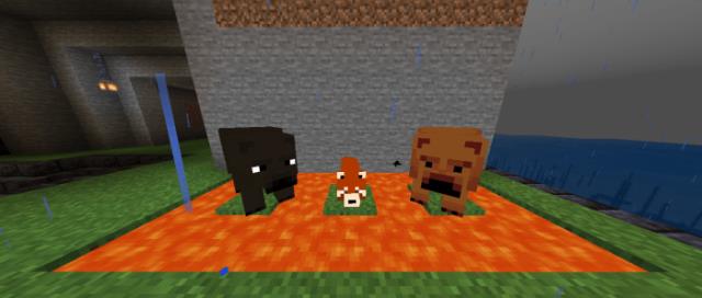 Bears Plus — screenshot 7