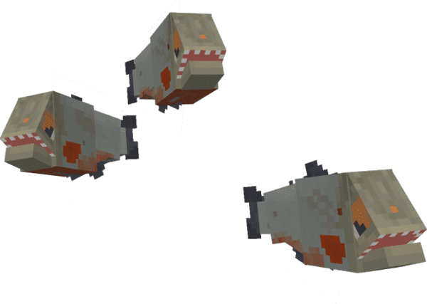 Amazonian Wonders — screenshot 2
