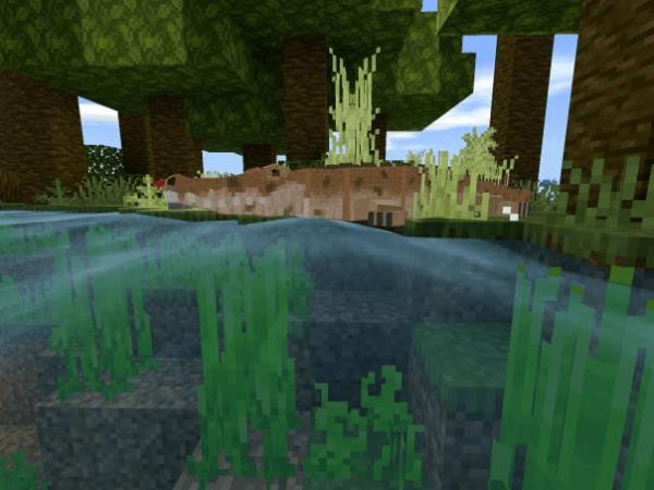 Amazonian Wonders — screenshot 4