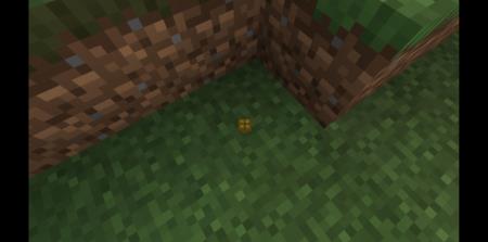 Land Turtle — screenshot 3