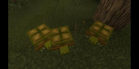 Land Turtle — screenshot 4