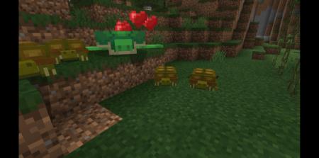 Land Turtle — screenshot 5