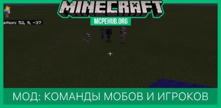 Team With Mobs and Players — screenshot 1