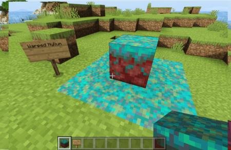 Fry's Nether — screenshot 8