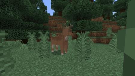 Deer Concept — screenshot 3