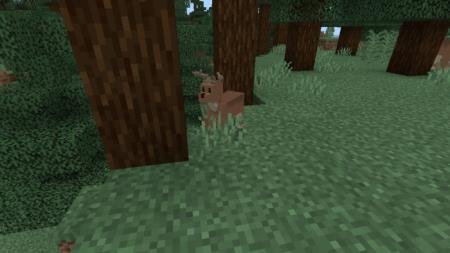 Deer Concept — screenshot 5