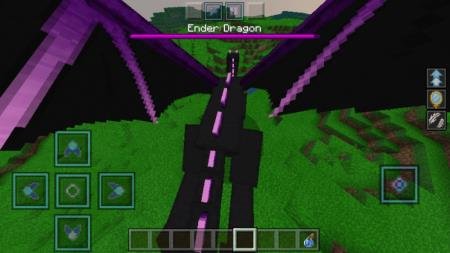 Dragon Morph — screenshot 2
