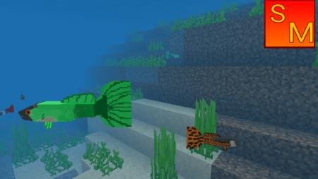 Guppy Fish — screenshot 4