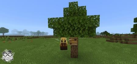 Queen Bee — screenshot 2