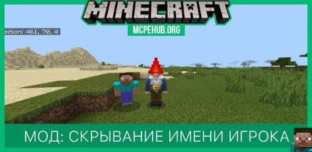Player Mount — screenshot 5