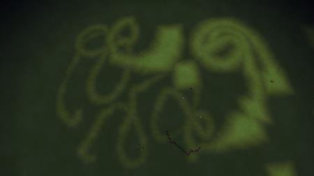 Draw Your Lights — screenshot 7
