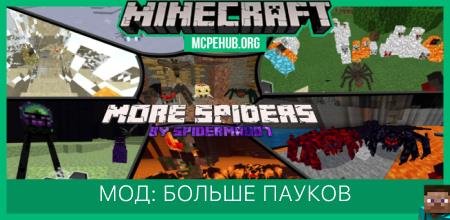 More Spiders — screenshot 1