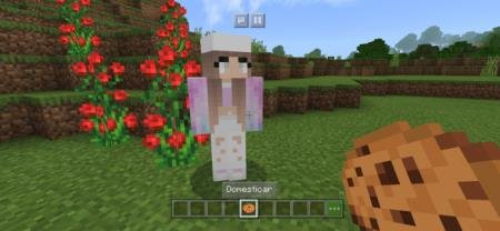 Npc Friends — screenshot 4